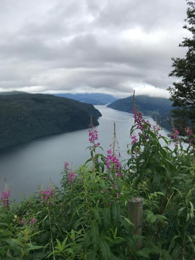 Panorama Fjord Olden Appartement Buitenkant foto